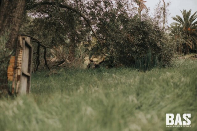 @bajaairsoftseries-214